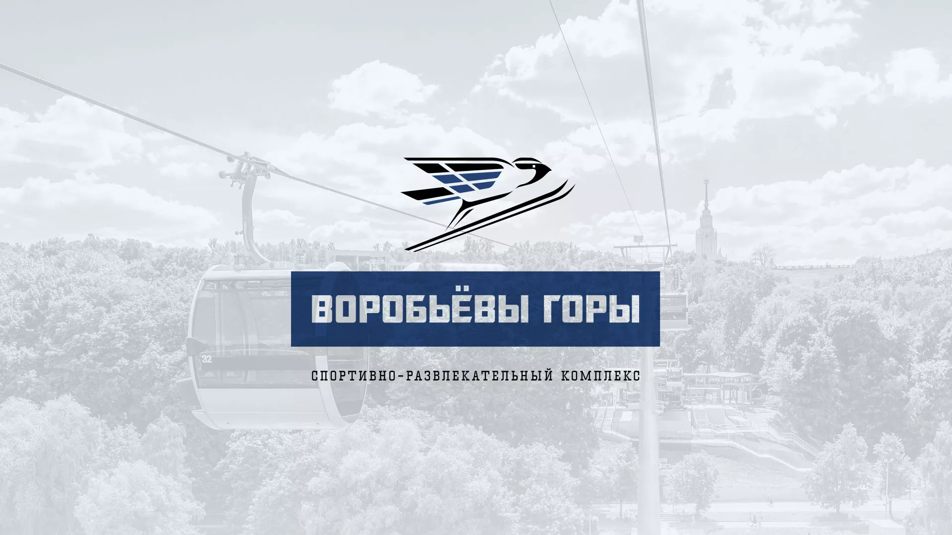Создание сайта в Вельске для спортивно-развлекательного комплекса «Воробьёвы горы» Разработка сайта в Вельске для спортивно-развлекательного комплекса «Воробьёвы горы»