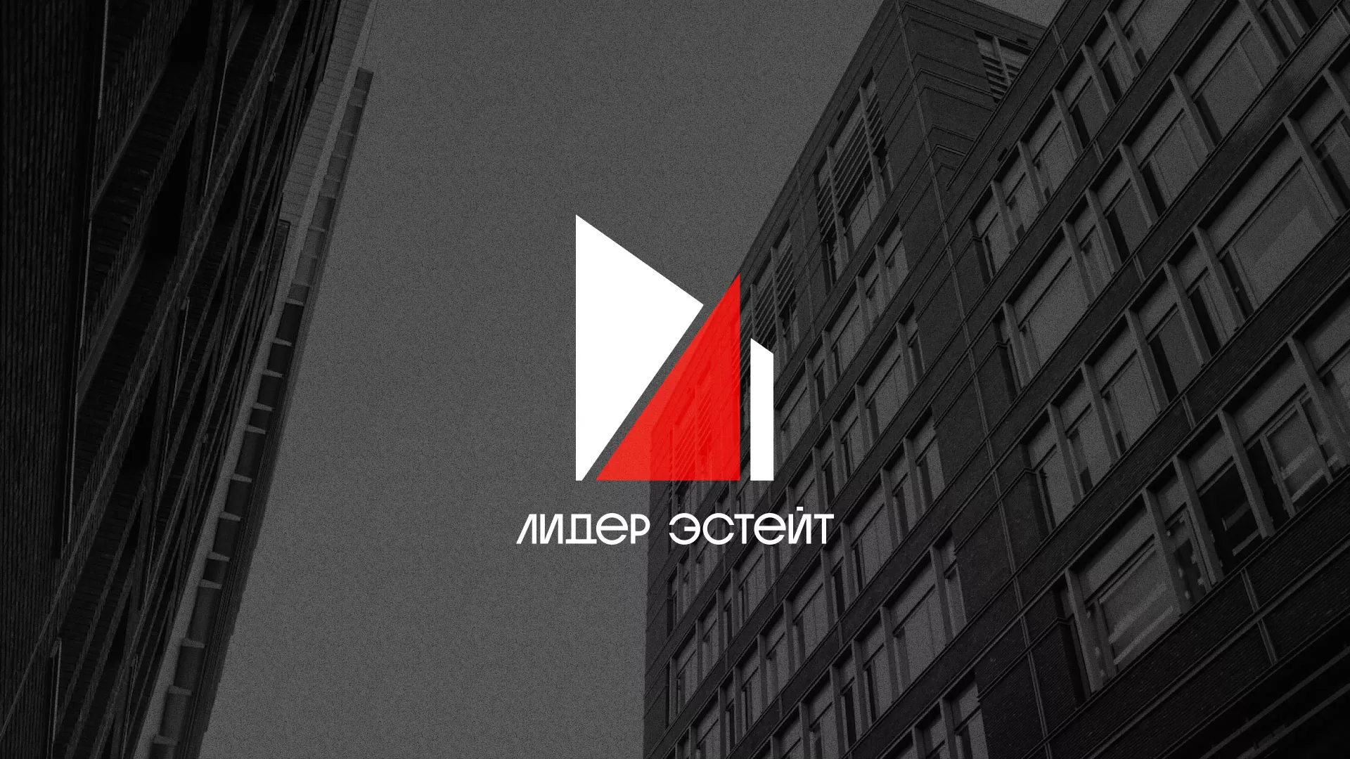 Сделали логотип для агентства недвижимости «Лидер Эстейт» в Вельске